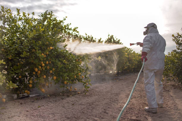 Professional Pest Control in Tarkio, MO
